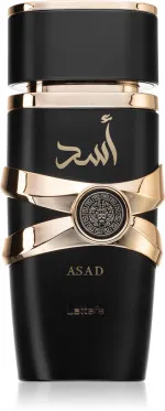 Asad parfémovaná voda pro muže 100 ml