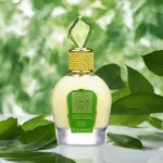 Tameen Collection Musk Wild Vanille parfémovaná voda pro ženy 100 ml