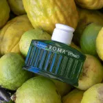 Roma Uomo Green Swing toaletní voda pro muže 75 ml