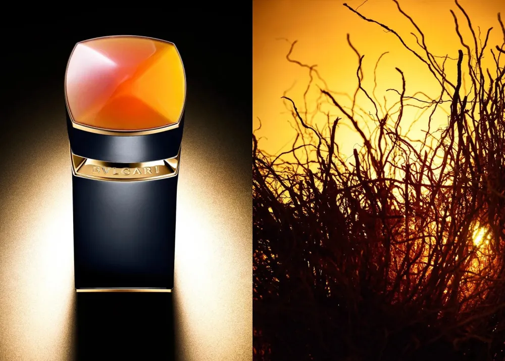 Le Gemme Ambero parfümös víz férfiaknak 100 ml