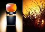 Le Gemme Ambero parfümös víz férfiaknak 100 ml