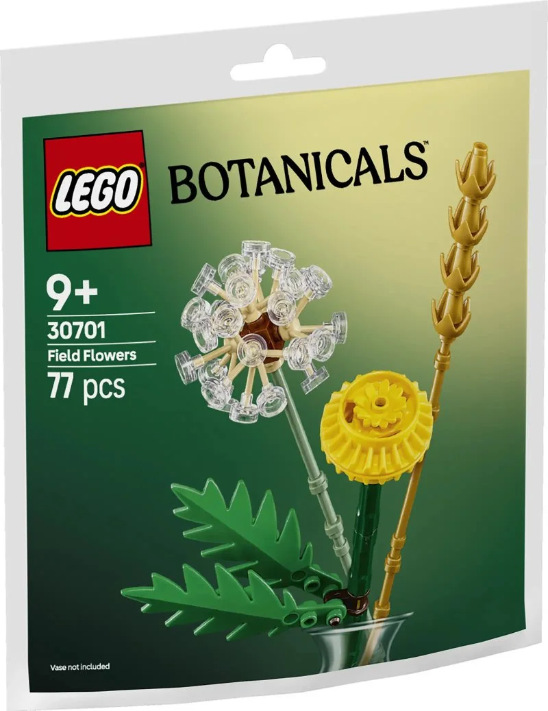 30701 Mezei virágok