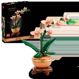 LEGO® Botanicals 10343 Miniatűr orchidea