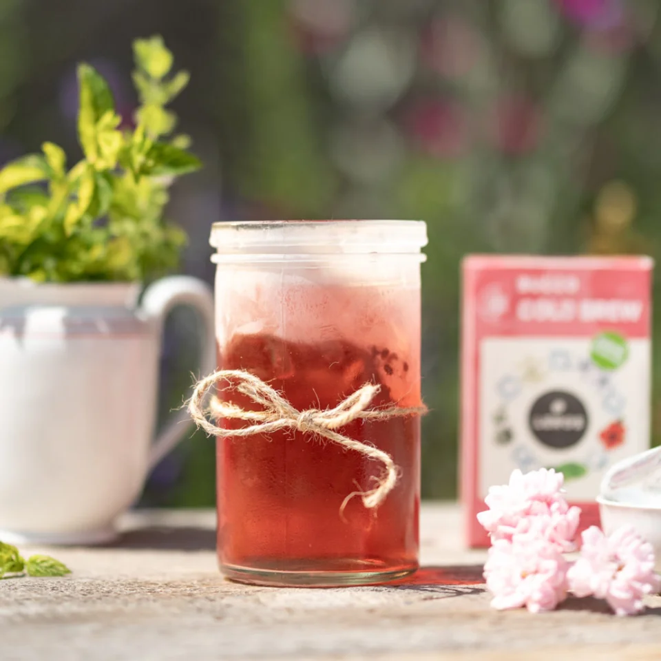 LEROS Bucco Cold Brew gyógynövénykeverék - filteres tea (20 x 1,5 g) - jegestea készítéséhez