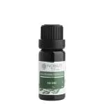 Nobilis Tilia Eucalyptus globulus 10 ml