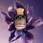 Date Night U parfüm 100 ml
