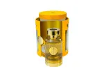 Mango Jugoso eau de parfum unisex 100 ml