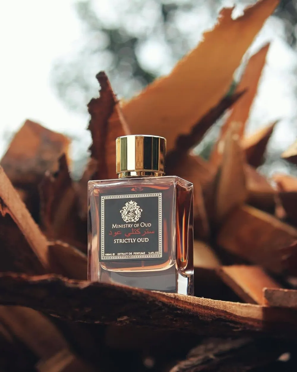 Strictly Oud parfümkivonat unisex 100 ml