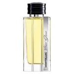 Vetiver Glacier parfémovaná voda pro muže 125 ml