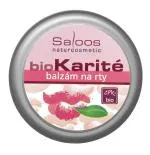 Saloos Ajkakra 19 ml
