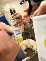 Natasha Citromos fürdőszobatisztító – spray (500 ml) – kemény vizű háztartások számára is megfelelő