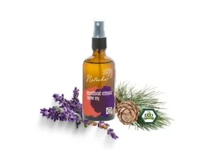 Natasha Légfrissítő - Édes álmok (100 ml) - megnyugtat és felkészít az alvásra