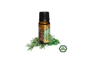 Natasha Illóolaj-keverék (10 ml) - Inspiráció és összpontosítás