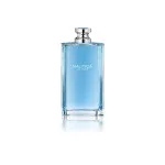 Voyage toaletní voda pro muže 200 ml