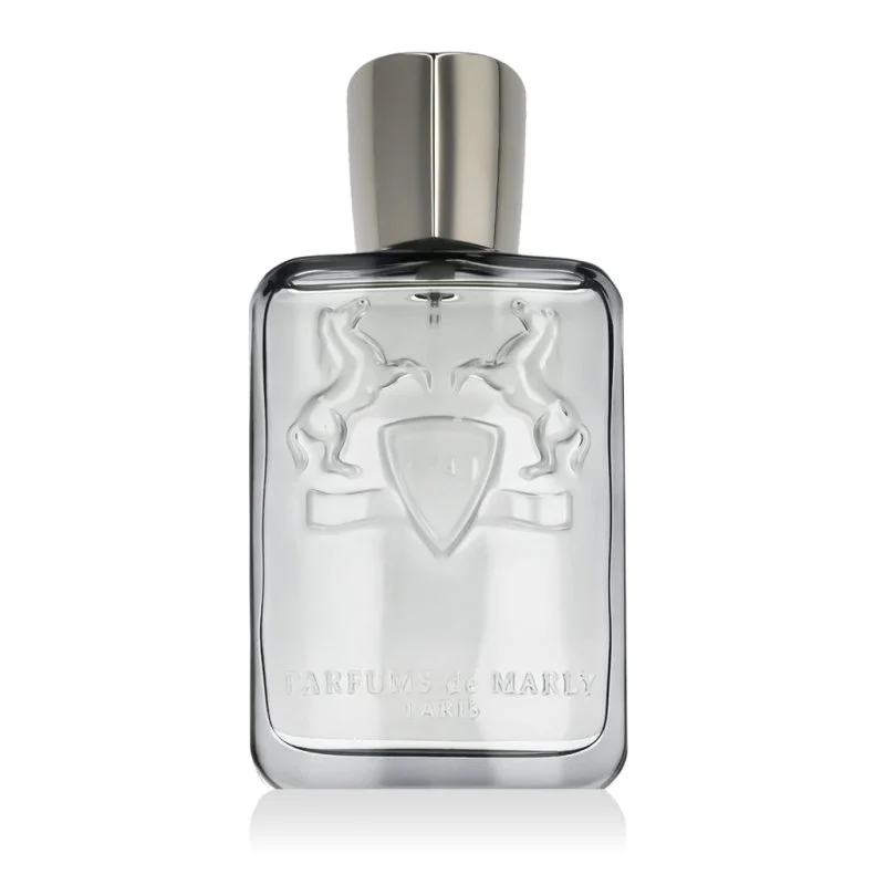 Castley Eau de Parfum férfiaknak 125 ml