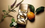Pour Homme Absolu eau de parfum férfiaknak 30 ml