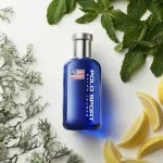 Polo Sport toaletní voda pro muže 75 ml