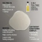 3 az 1-ben Tea Tree sampon-balzsam-tusfürdő férfiaknak 350 ml