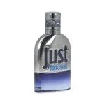 Just Cavalli Him 2013 eau de toilette férfiaknak 30 ml