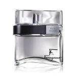 F by Ferragamo Black toaletní voda pro muže 100 ml