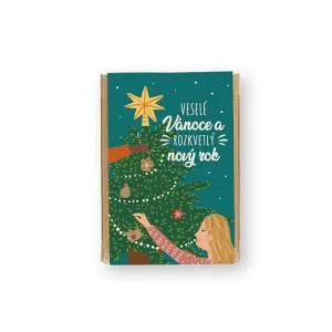 Blossombs Magbombák - Mini ajándék szett - Varázslatos karácsony (4 db)