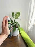 SO’BiO étic Természetes dezodor ECO SPRAY 24h MEN - BIO cédrus (100 ml) - akár 24 órán át hatékony