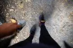 Inkkas Spectrum Camping Boot