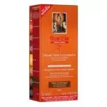 Henné Color Színezett hajpakolás magas fokú védelemmel és ápolással Premium Végétal 100ml Brown