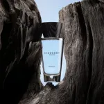 Touch for Men eau de toilette férfiaknak 100 ml