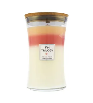 WoodWick WoodWick Trilogy Blooming Orchard vonná svíčka s dřevěným knotem pro muže