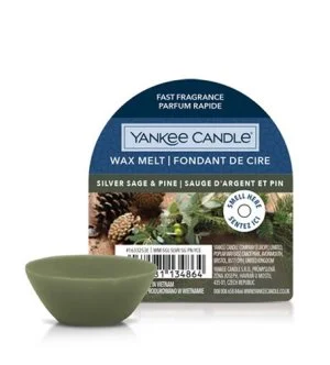 Yankee Candle Silver Sage & Pine illatviasz 22 g