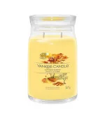 Yankee Candle Yankee Candle Spun Sugar Flurries votivní svíčka ve skle pro muže