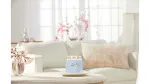 Clean Cotton signature svíčka střední unisex 368 g