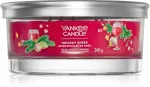 Holiday Cheer signature tumbler 5 knotů pro muže 340 g