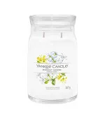 Midnight Jasmine signature svíčka velká pro ženy 567 g