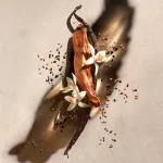 Zadig utántölthető flakon női eau de parfum