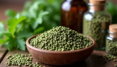 Hogyan használjuk helyesen a csalánmagot az egészségünk érdekében