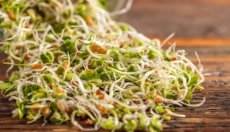 Tudja meg, hogyan javítják a csírák az egészséget és vitalitást