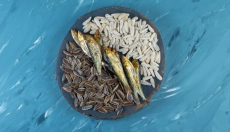 Védje meg agyát az egészséges étrenddel a Mind diéta segítségével