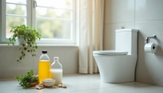 A WC-ből származó húgykő egy probléma, amelyet könnyedén megoldhat.